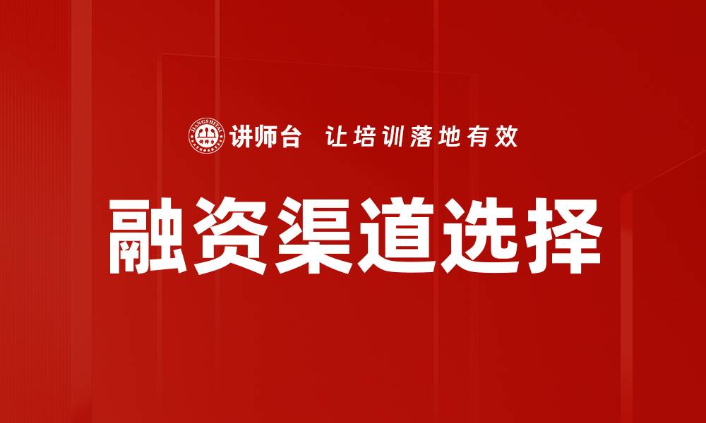 文章融资渠道选择的缩略图