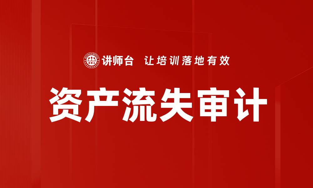 文章资产流失审计的缩略图