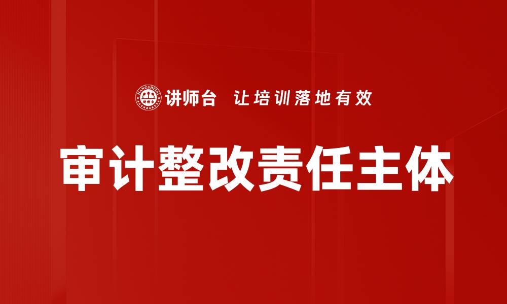 文章审计整改责任主体的缩略图