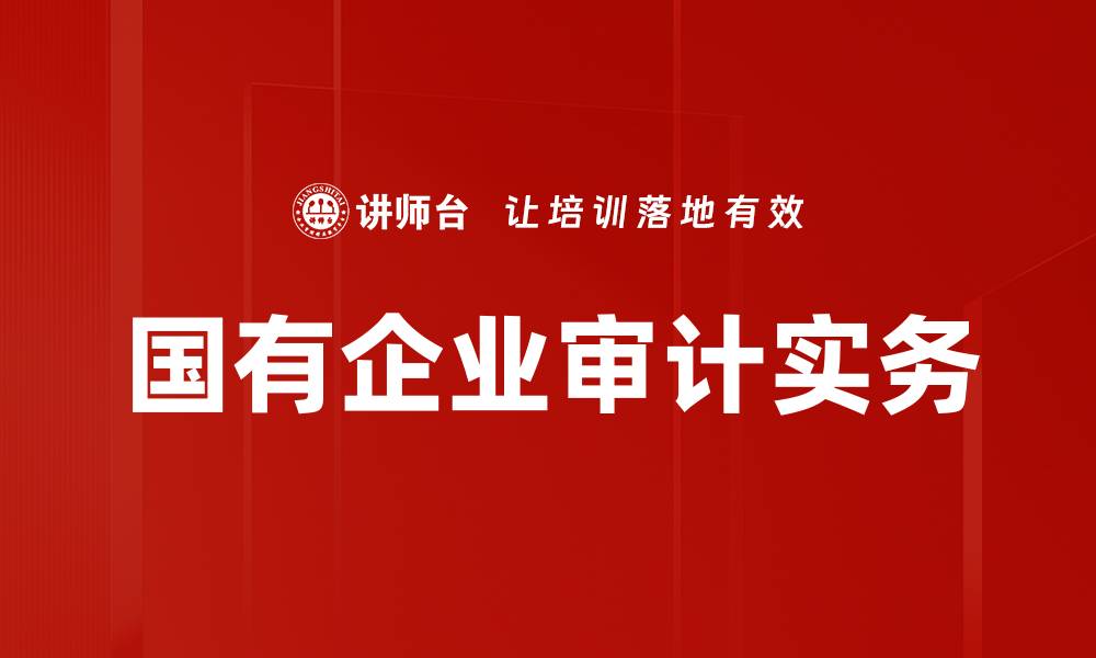 文章国有企业审计实务的缩略图