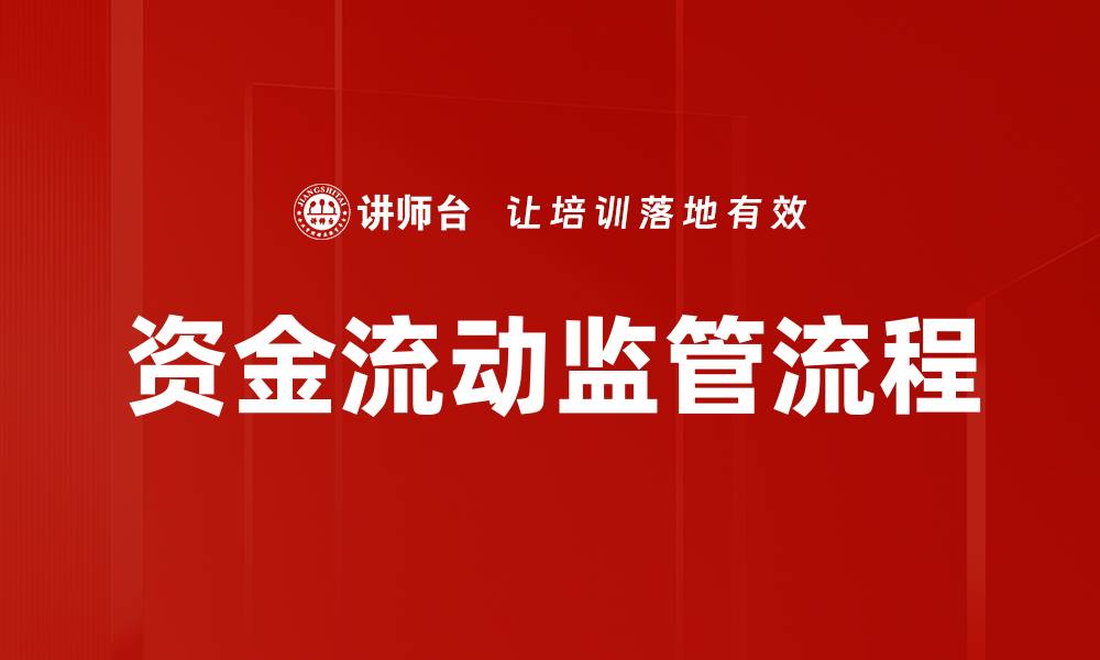 资金流动监管流程