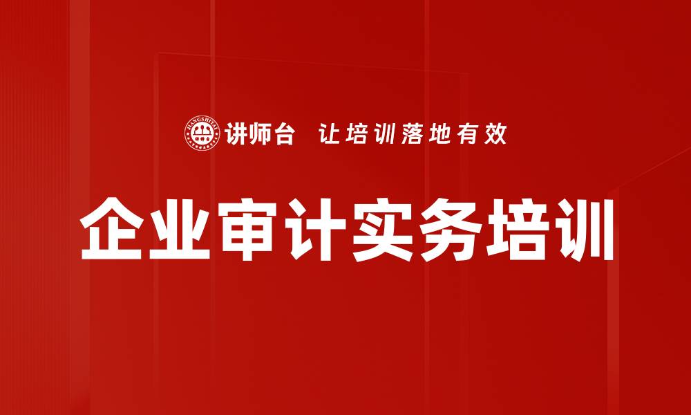 企业审计实务培训